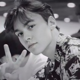 Telegram profile photo for Vernon
