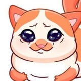 Telegram profile photo for Толстый кот VS Аэрофлот