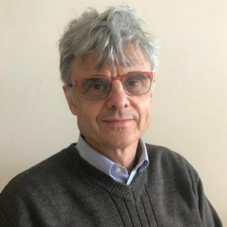 Telegram profile photo for Geert Vanden Bossche - Voice for Science & Solidarity