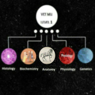 Telegram profile photo for Anatomy Semester 1