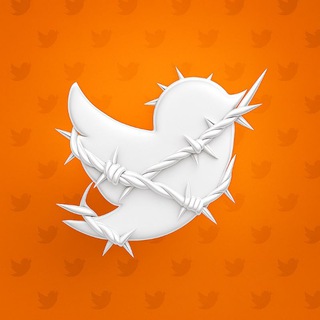 Telegram profile photo for ProxyTweety | اینترنت ازاد ، کانفیگ و پروکسی نت ملی ، ایرانسل ، مخابرات ، همراه اول ، رایتل