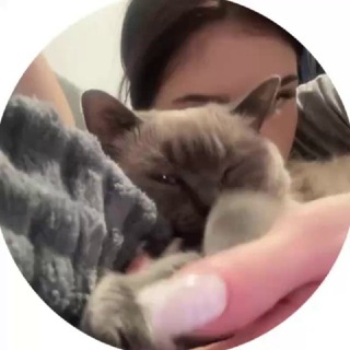 Telegram profile photo for аллисаваллова