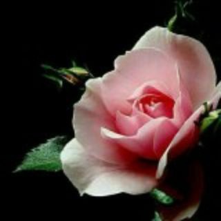 Telegram profile photo for مناسبتها