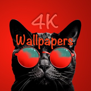 Telegram profile photo for 4K Wallpapers | iPhone | Android