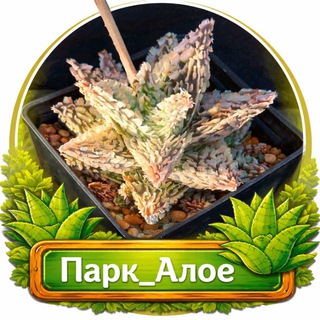 Telegram profile photo for Парк_Алое
