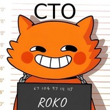 Telegram profile photo for Roko's World - CTO