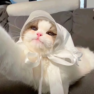 Telegram profile photo for 张不凡