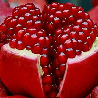 Telegram profile photo for رمانهای پرطرفدار