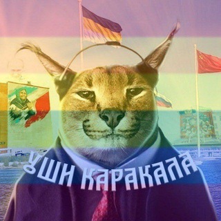 Telegram profile photo for Уши Каракала 🅉🇷🇺🐍 #ВернитеДетямРадугу