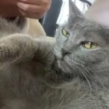 Telegram profile photo for йо