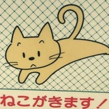 Telegram profile photo for perfectly wrong.
