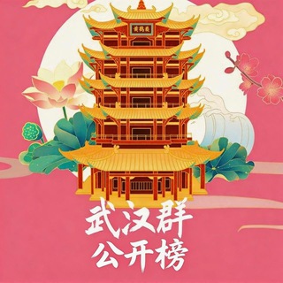 Telegram profile photo for 武汉公开榜单