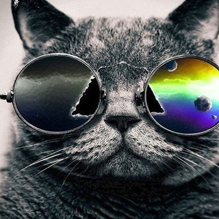 Telegram profile photo for р