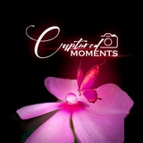 Telegram profile photo for Captured Moments ( Wallpapers & Presets )