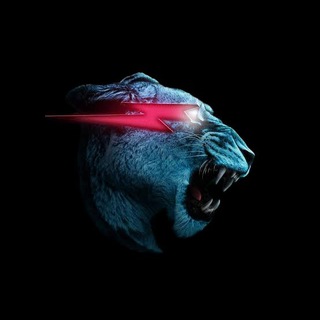 Telegram profile photo for Mr. Beast Crypto Gambles