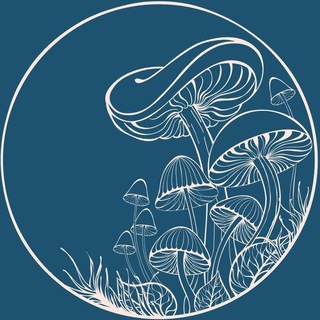Telegram profile photo for Да что романтичного в птичках?