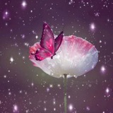 Telegram profile photo for 🌹کلبه محبت🌹