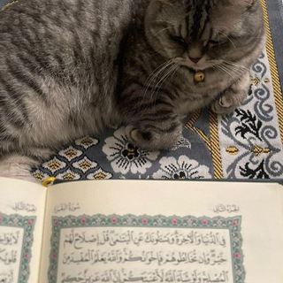Telegram profile photo for قرآن ، أذكار ، صوتيات ، أدعية رمضان تلاوة يوم الجمعة