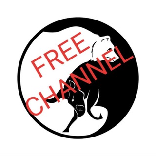 Telegram profile photo for DISKUSI LIVE SIGNAL