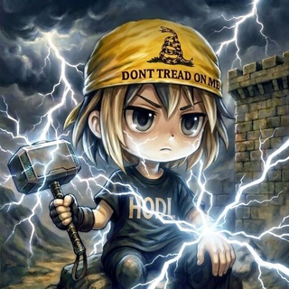 Telegram profile photo for I'm Hodl ⚡