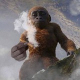 Telegram profile photo for spl1fff