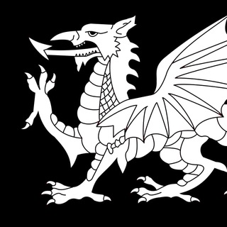 Telegram profile photo for The New Saxon Times