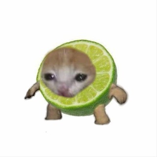 Telegram profile photo for 𝐋𝐢𝐦𝐞 𝐬𝐡𝐨𝐩