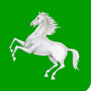 Telegram group profile photo for ORIGINAL TOMSK CHAT