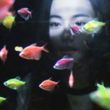 Telegram profile photo for yang shumeng. 彡
