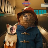Telegram profile photo for pADHDton bear