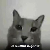 Telegram profile photo for ПЕРЕЕЗД УРА||хазиьъ