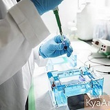 Telegram profile photo for Biologiya DTM tushgan savollar 2022-2026savollari