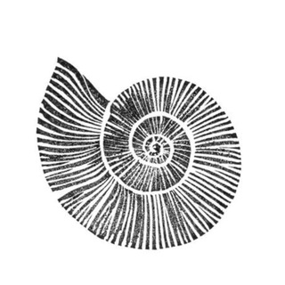 Telegram profile photo for Катенька Копейкина•жизнь в Балансе•