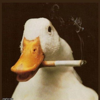 Telegram profile photo for Убежище Кряка