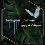Telegram profile photo for تبلیغات هاوایی🗣