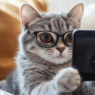 Telegram profile photo for Виктория Игоревна