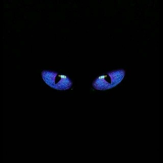 Telegram profile photo for SSC Compilations