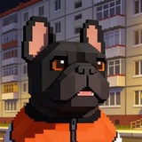 Telegram profile photo for Чёрный кабанчок
