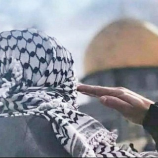 Telegram profile photo for ياسر محمود الحاج 🇵🇸