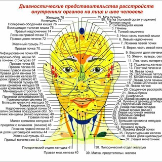 Telegram profile photo for Отзывы по Фабулам Антона Траска