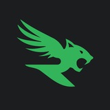 Telegram profile photo for Raman Motorsport