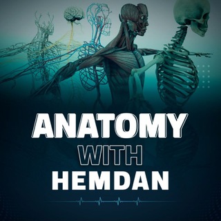 Telegram profile photo for Anatomy With Hemdan