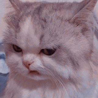 Telegram profile photo for Мемолог-суетолог
