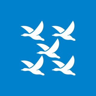Telegram profile photo for Кстати, Чебоксары