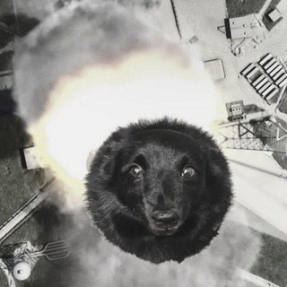 Telegram profile photo for луракс скарул (архив)