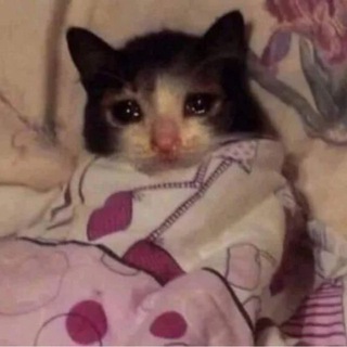 Telegram profile photo for Fuck this life يعم