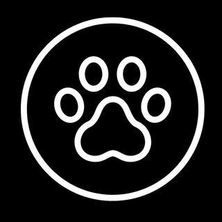 Telegram profile photo for b.w.stones