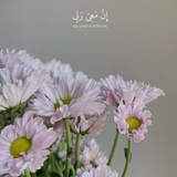 Telegram profile photo for وقارُ السَّماء