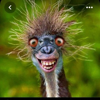 Telegram profile photo for Улыбатор😜