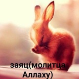Telegram profile photo for ватаку